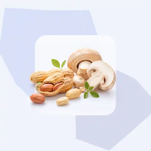 فيتامين ب3 النياسيناميد